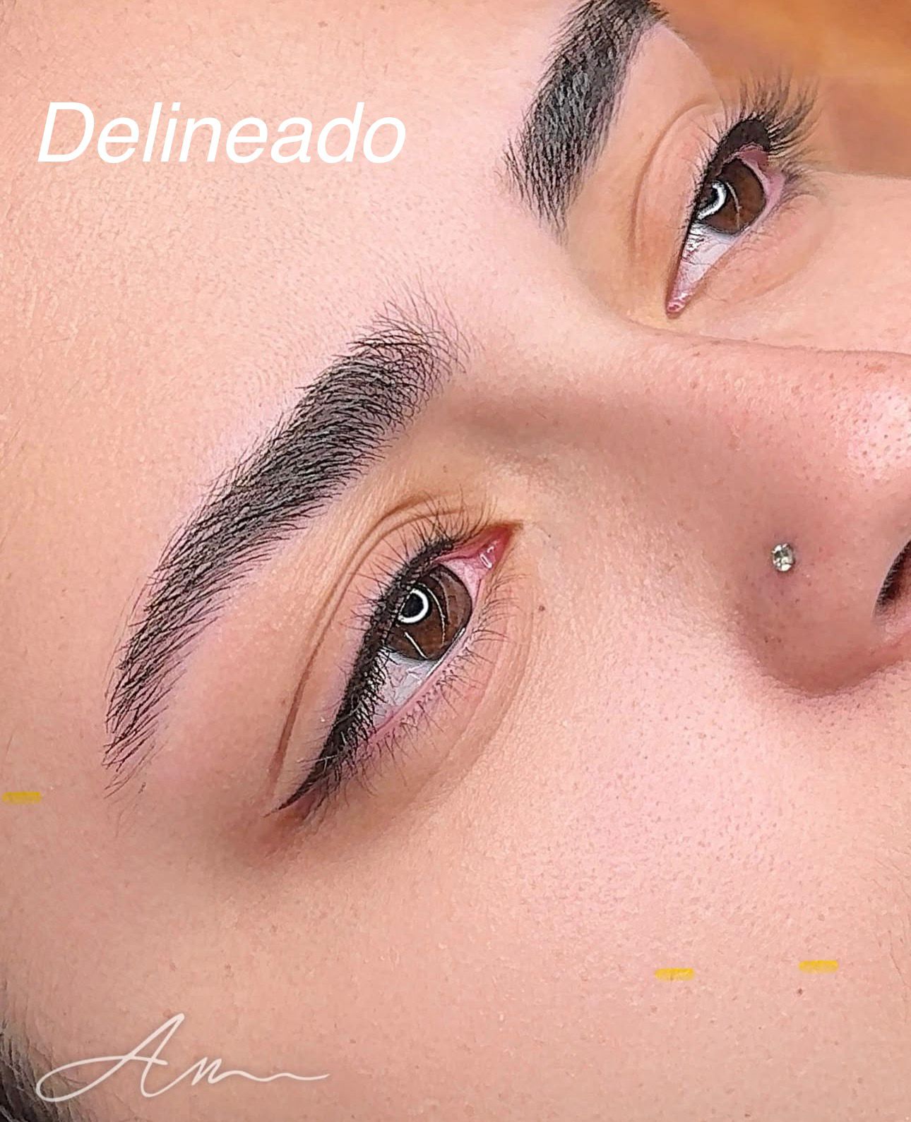 Delineado Definitivo